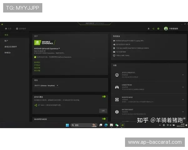 N卡录制功能开启却无法显示游戏内覆盖的解决方法分析