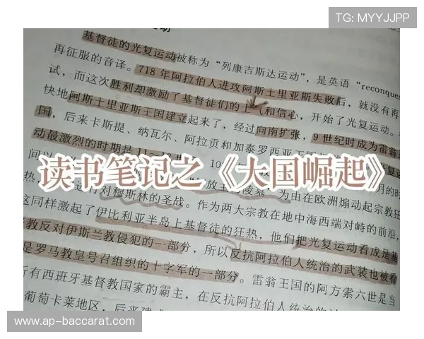 《在全球大国博弈中崛起掌控经济与战争的命运》